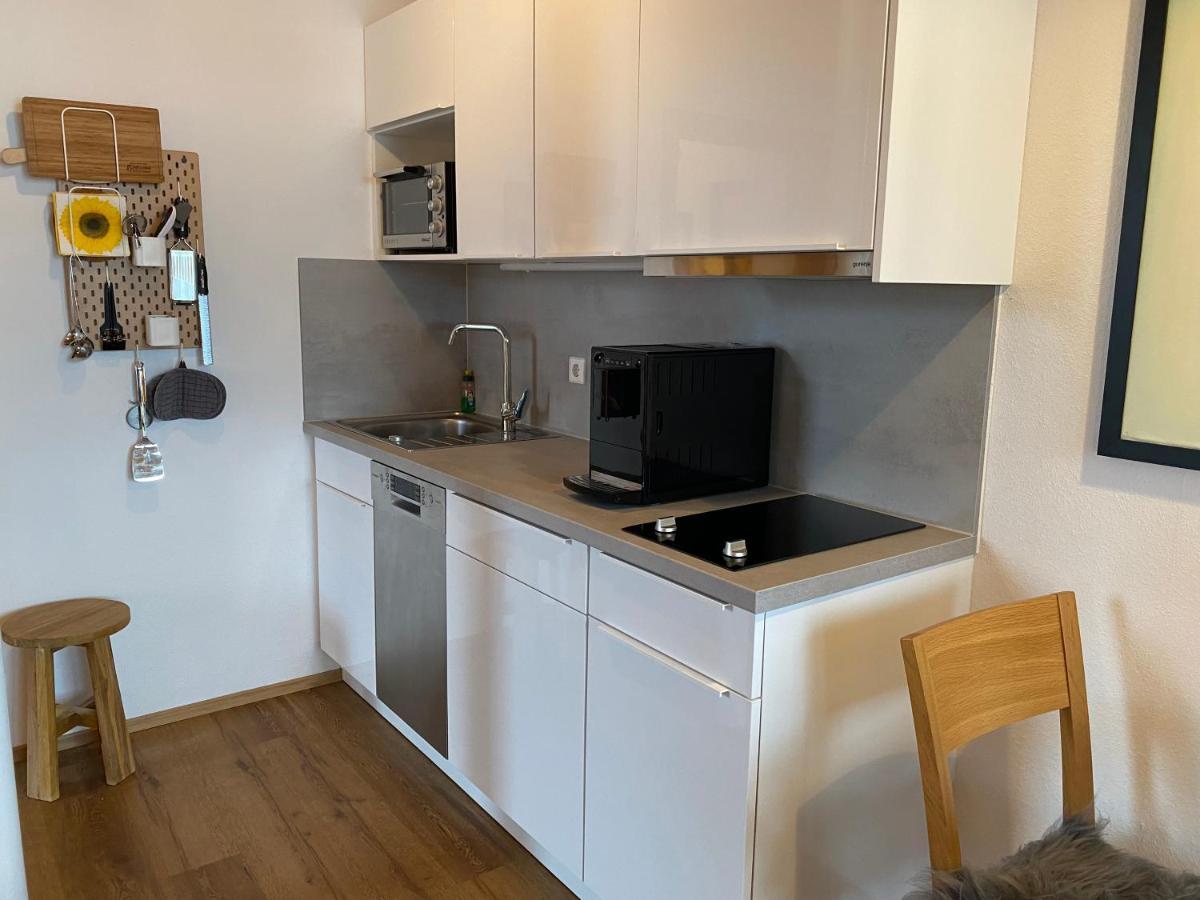 Ferienwohnung Freiberg 奥伯斯特多夫 外观 照片